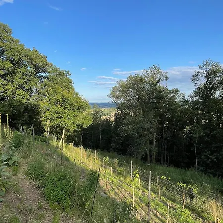 Διαμέρισμα Am Keltenberg, La Stella, Bonifatiusroute *