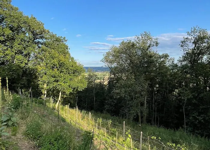 דירה Am Keltenberg, La Stella, Bonifatiusroute *
